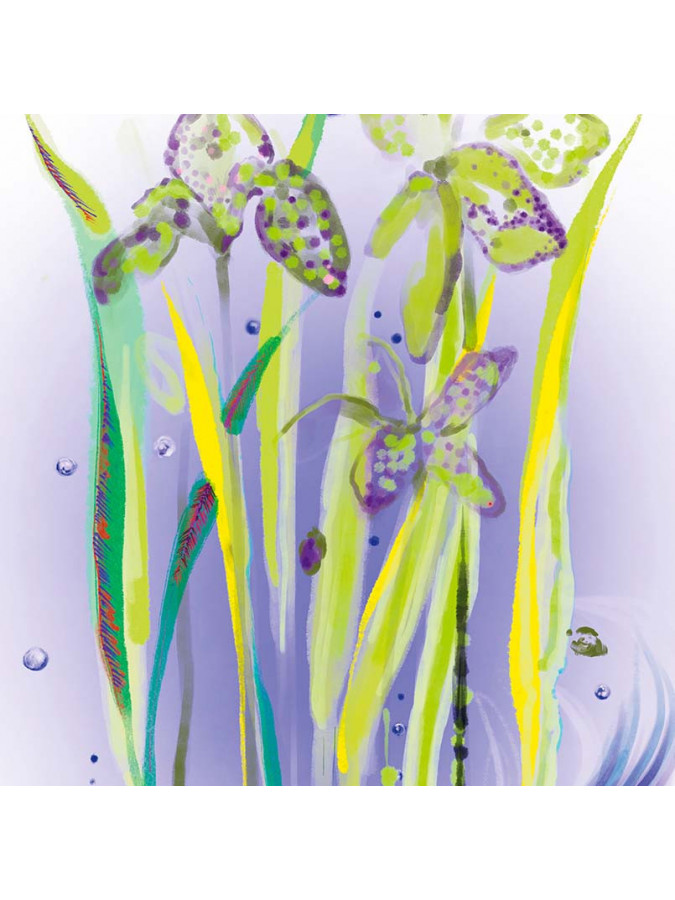 L'EAU REVEE D'ALMA العطور