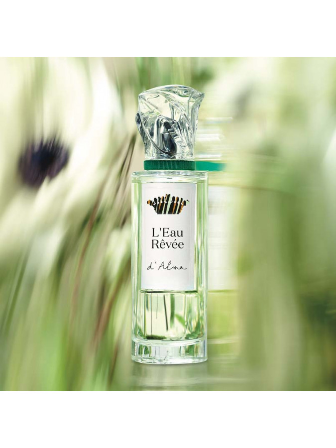 L'EAU REVEE D'ALMA العطور