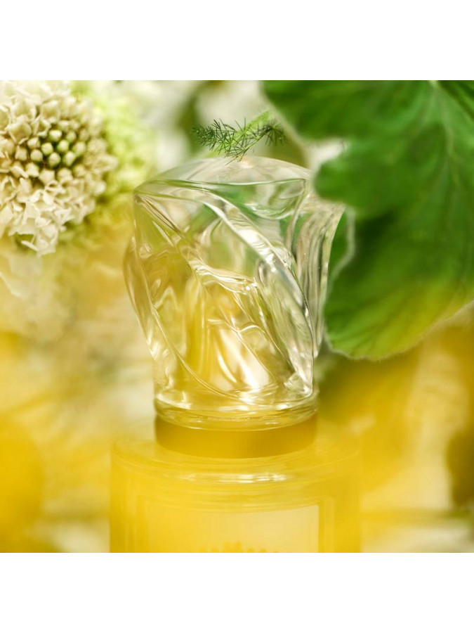 L'EAU REVEE D'HUBERT Perfumes