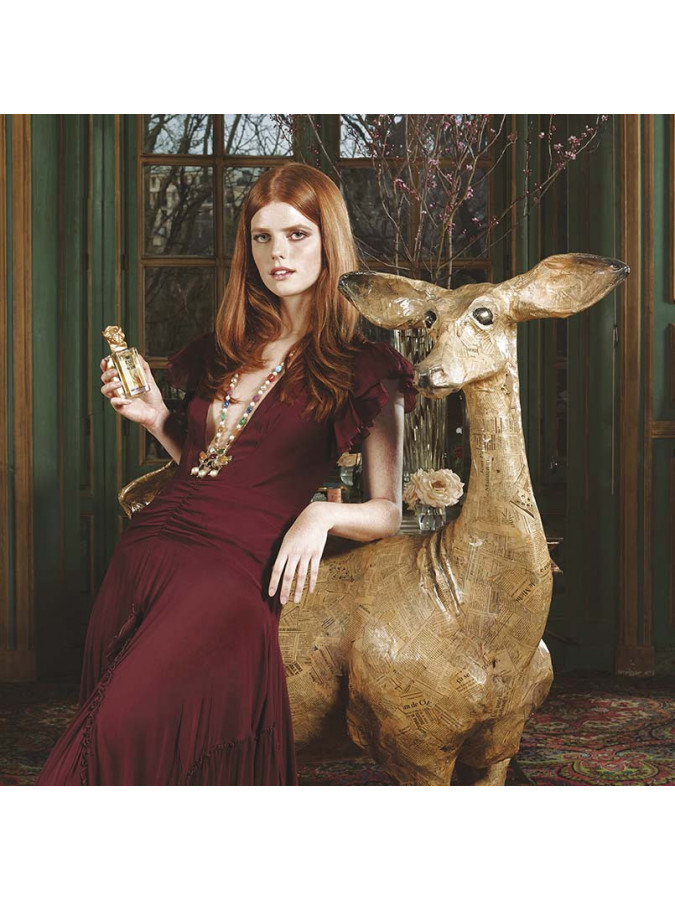 EAU DU SOIR EAU DE PARFUM EAU DU SOIR العطور